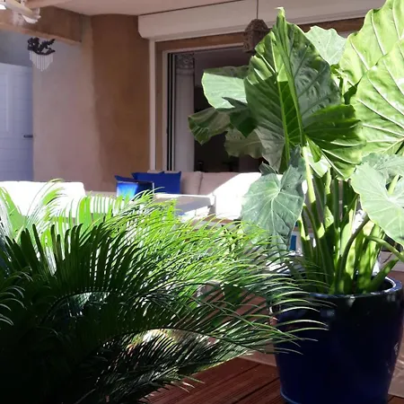 La Tamarissime Apartment *